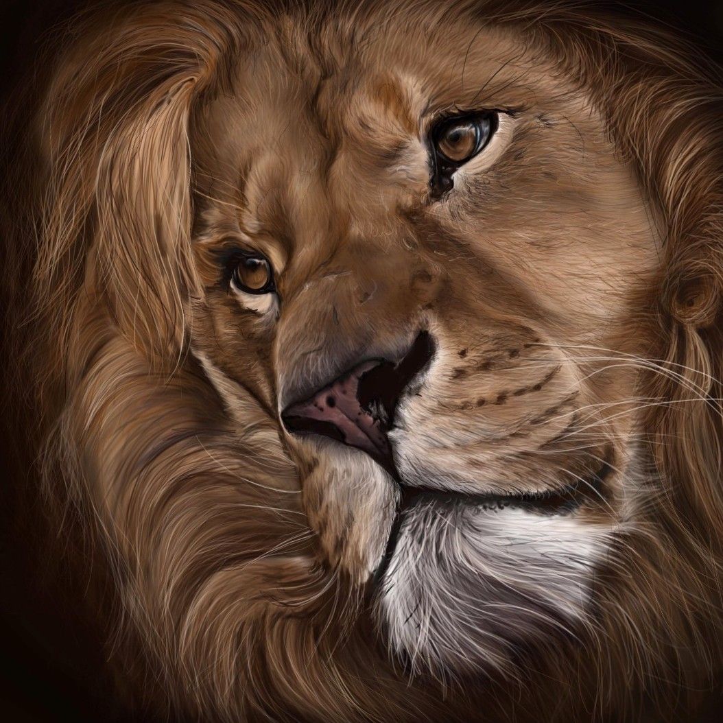 African Warrior Spear Lion Tattoo Canvas Print  Canvas Art by Aloysius  Patrimonio  Pixels