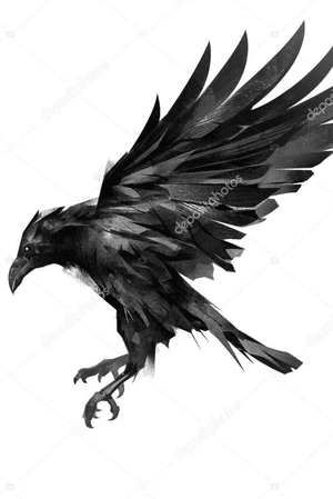 #crow 