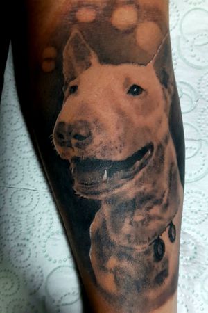 Retrato Bull terrier @juanesblest_tattoo 