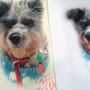 colred pencils dog portrait 