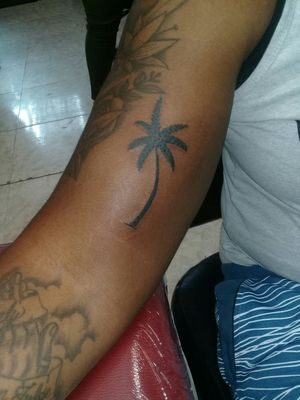 Small simple, clean and neat palm tree done by Shanti as part of our #tinytatttuesdays #blankcanvasartistry 
