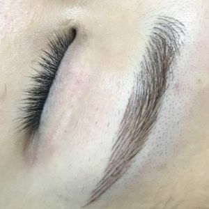 Eyebrows micro embo 