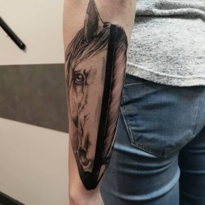Cover up. Horse graphic work tattoo.