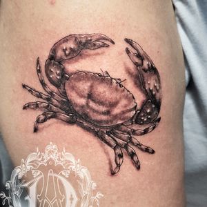 Black and grey 3D crab tattoo #crabtattoo #crabby #cancerzodiac #tattoodesign #tattoos #tattoomafia #alexdavidsontattoos #design #instagood #instashare #instart #instaink #fkirons #xion #fkironsxion #tattoopen #tattoo #tat #tattooshop #art #shading #eliteneedles #eternalink #dynamicink