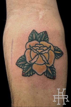 Traditional yellow rose