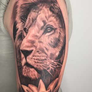 Lion and flower black and grey realism piece by Scott White. Scott has beautiful depth in his pieces with an eye for detail.