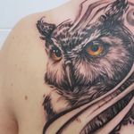 Realistic Black and Grey Owl Bird Tattoo