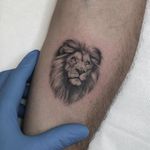 Lion tattoo by Sourya #Sourya #tattooartist #besttattoos #awesometattoos #tattoosformen #tattoosforwomen #tattooidea #lion #cat #junglecat #realism #blackandgrey #small