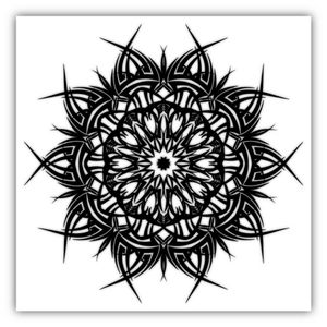 #geometrictattoo #geometric #black #mandalatattoo #mandala #designer #symetrical #sacredgeometry #finelinetattoo #finelines #etnic #Star #blackAndWhite #ink 