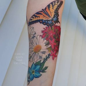 Color flowers and butterfly 