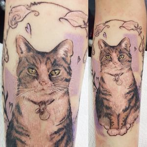 Memorial cat piece by Klaire Ader at Inky Needles in Birmingham uk #cat #cattattoo #cattoo #illustrativetattoo #abstracttattoo #neotraditional 