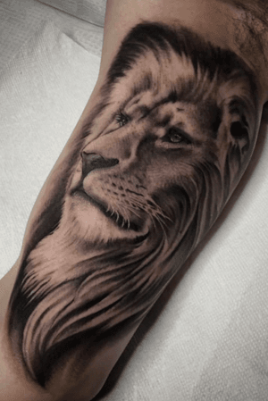 #Blackandgrey #Lion by Monikka #realism