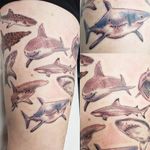 Shark thigh! By Klaire Ader at Inky Needles in Birmingham uk #shark #sharktattoo 