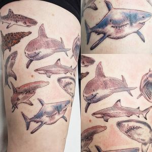 Shark thigh! By Klaire Ader at Inky Needles in Birmingham uk #shark #sharktattoo 