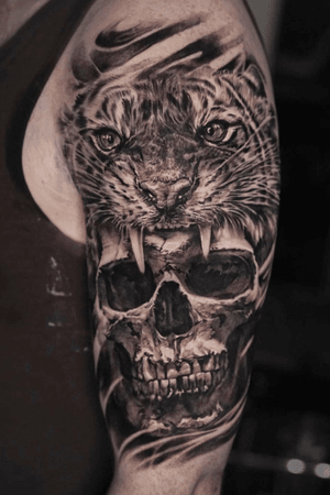 Roar-some!🐯 Edgar - @edgarivanov pounced his way into our hearts with this jaw-dropping beauty!💀🔥