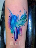 #colibriTattoo #watercolortattoo #fullcolor #tattooartist #tattooGirls #ideatattoo #beautiful #birdtattoo #watercolor #bybeefreetattoo