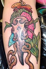A little witchy piece I got to do a while back! #witchy #bright #gems #bird #skull #sage #fire #clean #crisp #linework #tattooartist #tattoodo #rope #crystals #neotraditional #newschool #color #tattoo #followtattooartist #followme #followme #books #boobs 