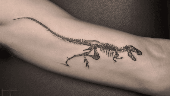 Fresh velociraptor skeleton my first tattoo Done by Tim Palmer at  Palmers Tattoo in Marshall MN  rtattoos