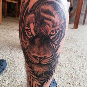 Tattoo tigre ya cicatrizado 