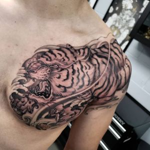 Tiger chest to shoulder #tigertattoo #tattoo #tiger #tattoos #ink #art #inked #tattooartist #tattooed #blackandgreytattoo #tattooart #tigers #realistictattoo #tattooist #tattoolife #blackandgrey #instatattoo #tigershop #tigre #traditionaltattoo #tigerstripes #tattoodesign #bigcats #inkedgirls #tattooing #realistic #rosetattoo #blackwork #tigerlovers #blackandgrey