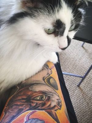 Two cats on my arm @john.d.tattoo 