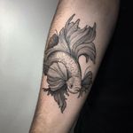 Fish tattoo by Daniel Miranda #DanielMiranda #fishtattoo #fishtattoos #fish #seacreature #oceanlife #animal #ocean #water #pisces #nature #illustrative #fineline #linework
