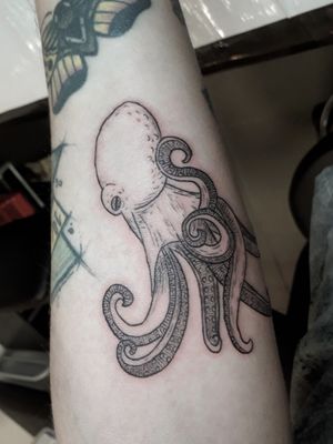 Octopus 🦑🌊 #tattoo #vintageillustration #octopustattoo 