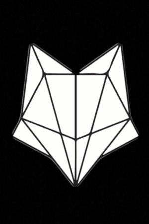 Simple Geometric Fox