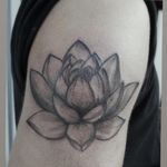 #lotus #lotusflowertattoo #tattoo #realistic #blackandgrey #dotwork #AsianTattoo 