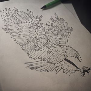 "Águila"..... #hawk #sketch #tattoo #envigadotattoo #line #neotraditattoos #cristal