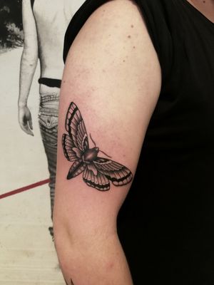 Traditional black moth tattoo.