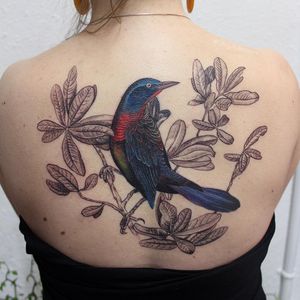 Nature tattoo by Meg Adamson #MegAdamson #ReliquaryTattoo #tattooartist #nature #biological #botanical #biologicalillustration #botanicalillustration #illustrative #watercolor #fineart