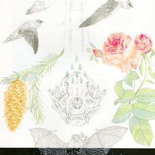 Bellas artes de Meg Adamson #MegAdamson #ReliquaryTattoo #tattooartist #nature #biological #botanical #biologicalillustration #botanicalillustration #illustrative #watercolor #fineart