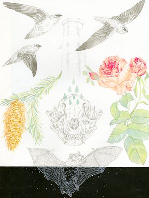 Fine art by Meg Adamson #MegAdamson #ReliquaryTattoo #tattooartist #nature #biological #botanical #biologicalillustration #botanicalillustration #illustrative #watercolor #fineart