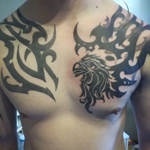 Part coverup (Eagle), everything else freehand styling 