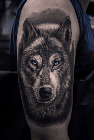 Work in process !🌑🌒🌓🌔🌕••••••••••••••••••••••••••••••••••••••#realism #blackandgray #tattooed #inked #realismtattoo #artwork #wolftattoo #realistic #instart #tattoodesign #picoftheday #tats #art #tattoomodel #тату #ink #tattoolife #tats #tatts #tattooideas #realistictattoo #artistoninstagram #tattoo #tattoos #inkedgirls #tattooedgirls #tattoo2me #tattooartist #colortattoo #tattoo2me #thebesttattooartists #tattoodo #wolftattoo