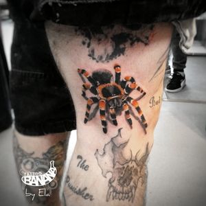 Realistic spider.By Ela#tattoobanana #tattoo #inked  #tattooed #tattooink #inkedup #tattoos #tatuajes #tattoolife #tattooartist #thurles #tatuaze #worldfamousink #eztattooing #irelandtattoostudio #tattooshop #inkbooster #spider #realism 