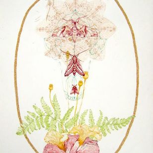 Bellas artes de Meg Adamson #MegAdamson #ReliquaryTattoo #tattooartist #nature #biological #botanical #biologicalillustration #botanicalillustration #illustrative #watercolor #fineart