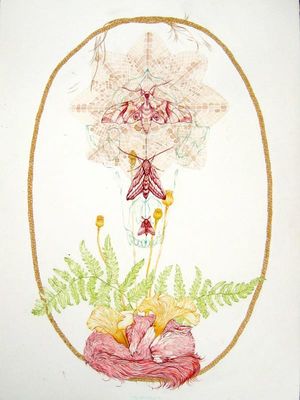 Fine art by Meg Adamson #MegAdamson #ReliquaryTattoo #tattooartist #nature #biological #botanical #biologicalillustration #botanicalillustration #illustrative #watercolor #fineart