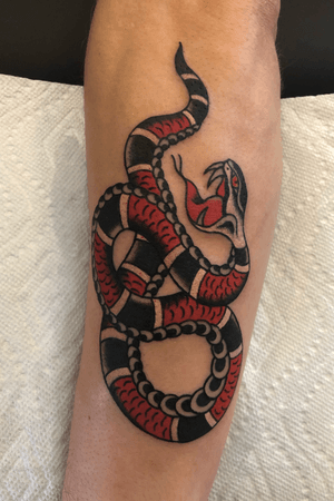 #traditional #traditionaltattoo #snaketattoo #guccisnake #vancouvertattoo #vancouver