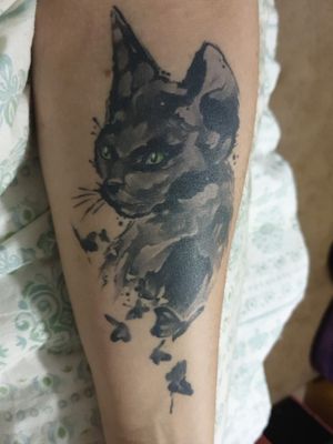 Watermark painting of my cat Princess Done by Troy Slack from Sashiko Tattoo (formerly known as Front Yard Tattoo Studio)