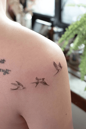 Jayeon Tattoo Tattooing Nature  Seoul, kR https://open.kakao.com/o/sACZ2mgb   Insta@tattooing_nature #koreatattoo #korea #seoul #fineline #flowertattoo #nature #naturetattoo