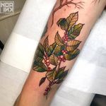 Birth month flower tattoo by Noa Ink #NoaInk #holly #birthmonthflowertattoos #birthmonthflowers #flowertattoo #flowers #florals #petals #blooms #leaves #nature #plant #birthmonth