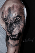 Lion tattoo by Rob Diamond