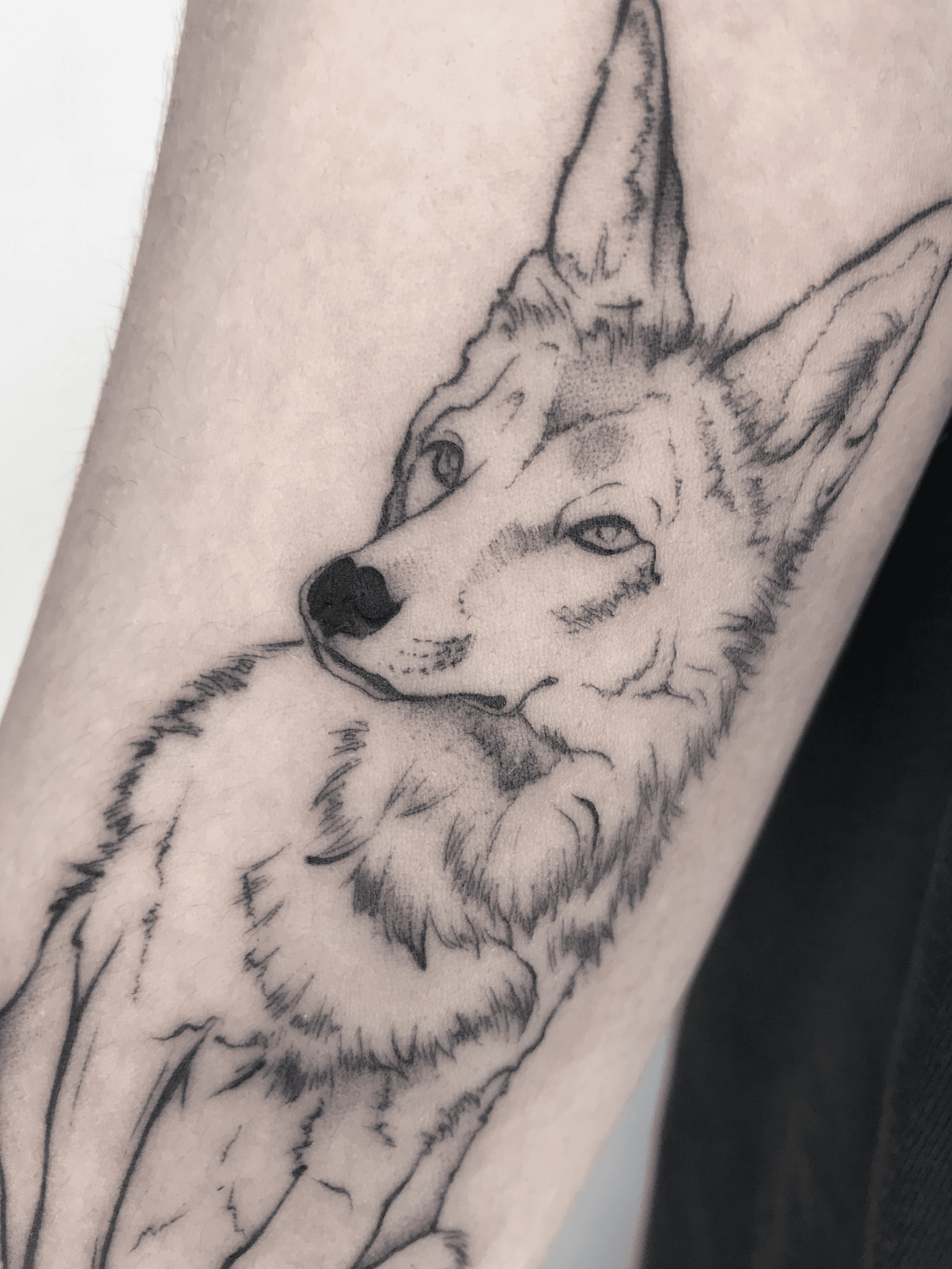 Coyote's Tattoo - 🔥TENEMOS AGUJAS & PUNTERAS PARA TATUAR .