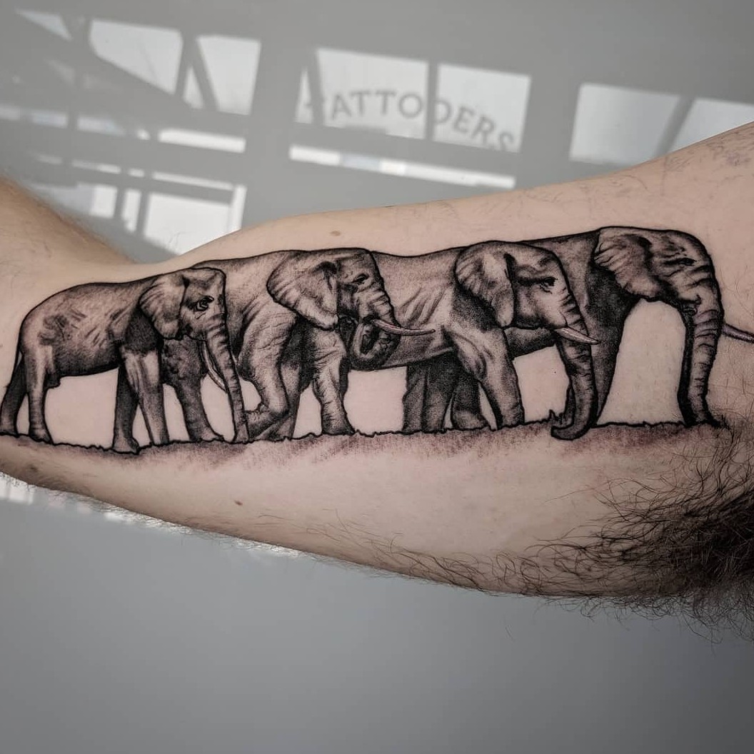 Stan smith elephant outlet tattoo