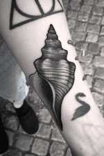 Pointy seashell. Really enjoyed doing this. @villeprinsen #villeprinsen #tattoo #tatuering #tatuointi #tatovering #tatuaje #tatuagem #tatouage #tätowierung #blackwork #unikumtattoo #göteborg