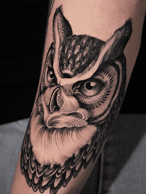 Owl on forearm.