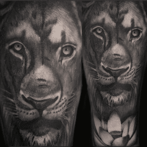 Lion tattoo ... #bangkoktattoo #tattoothailand #cambodiatattoo #phnompenhtattoo #chiangmaitattoo #siemreaptattoo #laostattoo #myanmartattoo #saigontattoo #hongkongtattoo #oldworkers #pattayatattoo #vietnamtattoo #yangontattoo #tattoohochiminh #vientianetattoo #kualalumpurtattoo #malaysiatattoo #singaporetatto #Blackandgrey #blackandgreyallday #Cambodiatattoo #tattoo #tattoophnompenh #fineline #finetattoo #realistictattoo #realism #phnompenhtattoo