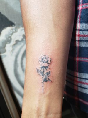 Small rose.